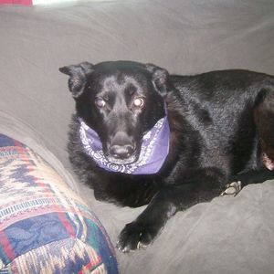 Meet your Posher, Drew